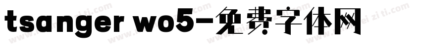 tsanger wo5字体转换
